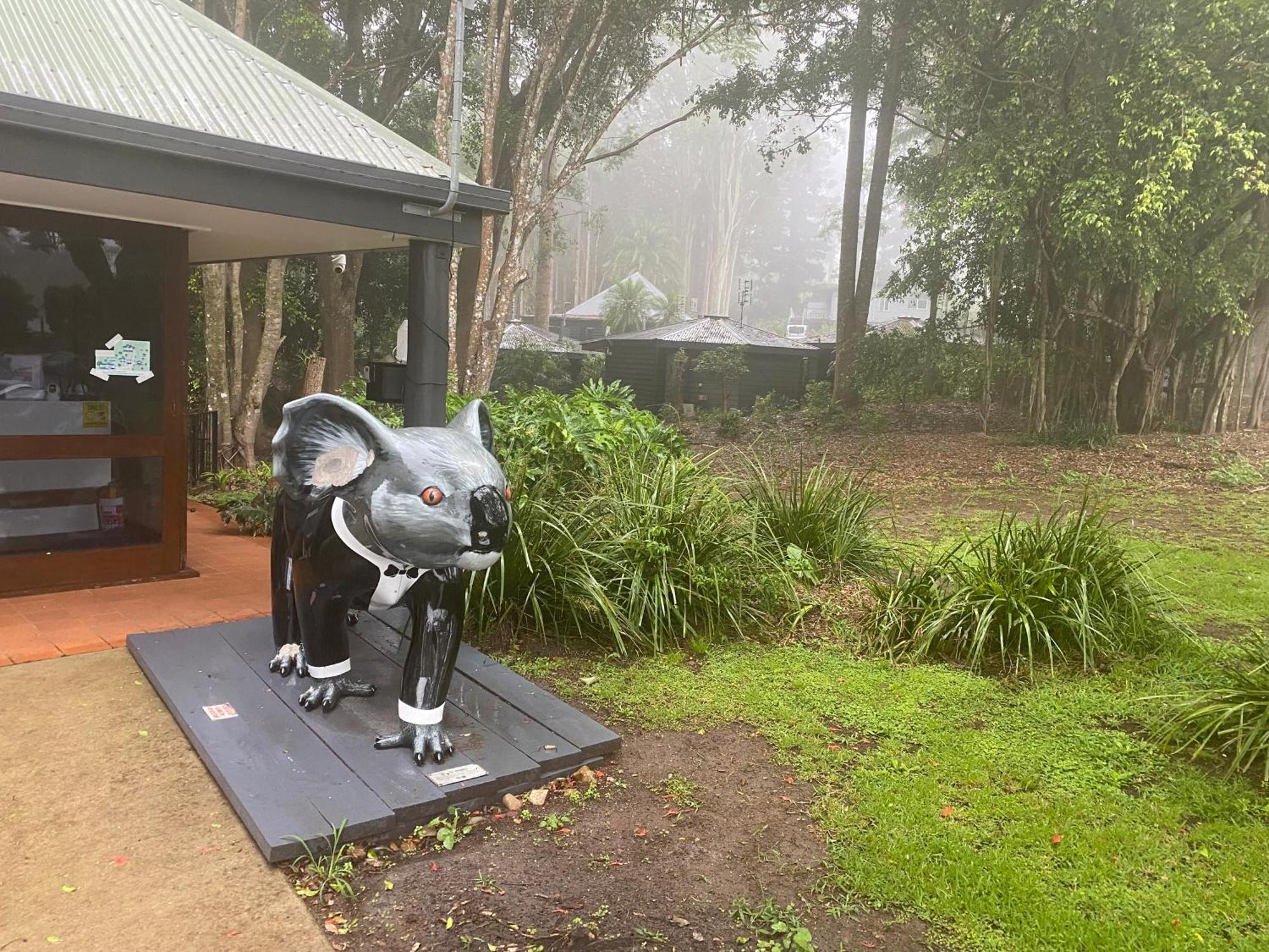 Koala Cabins Sunshine Coast Mapleton Eksteriør billede